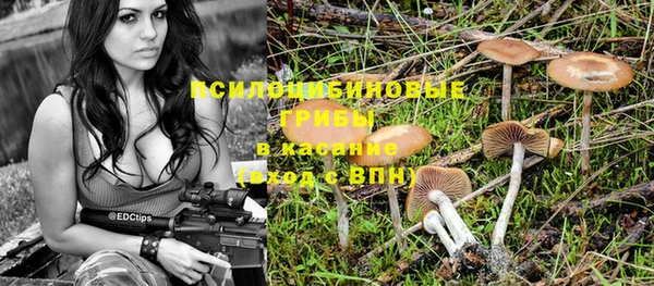 не бодяженный Беломорск
