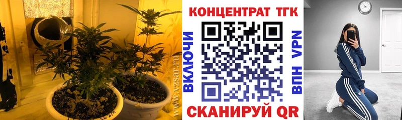 Купить где Болгар Дистиллят ТГК концентрат