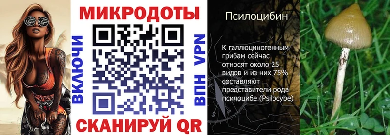 Купить  Болгар  Галлюциногенные грибы Magic Shrooms 
